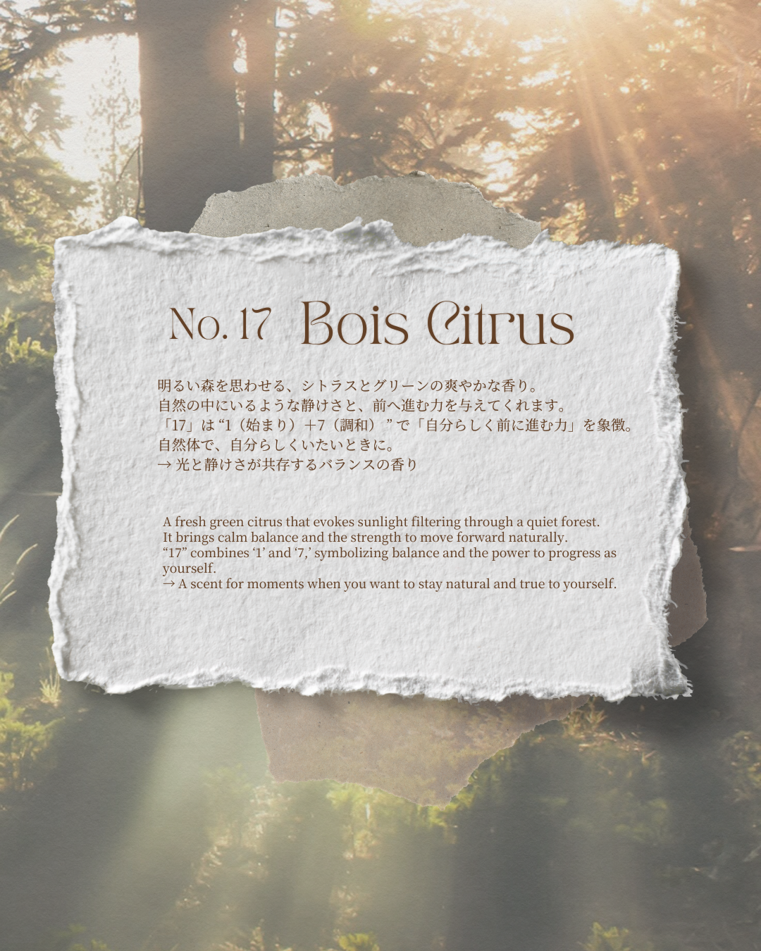 Square Ryukyu Fragment Candle +Tea Candle 4pcs Set