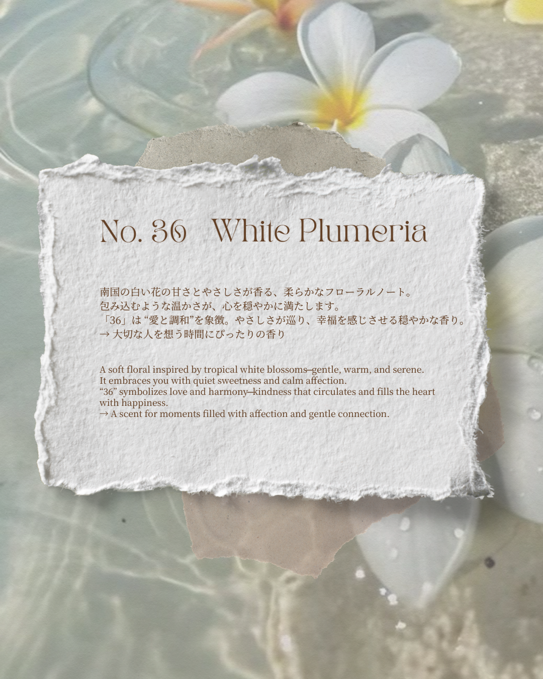 Square Ryukyu Fragment Candle +Tea Candle 4pcs Set